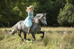 Loading Cinderella Pics 1 -    1   (IMAX) ...