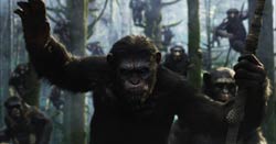 Loading Dawn of the Planet of the Apes Pics 1 -    1   :  ...