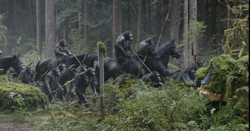 Loading Dawn of the Planet of the Apes Pics 4 -    4   :  ( ) ...