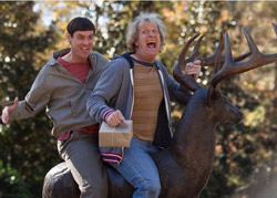 Loading Dumb and Dumber To Pics 2 -    2     2 ...