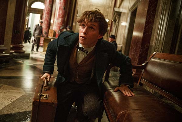 Loading Fantastic Beasts and Where to Find Them Pics 1 -    1         | 4DX) ...