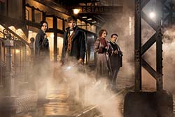 Loading Fantastic Beasts and Where to Find Them Pics 5 -    5       (  | IMAX) ...