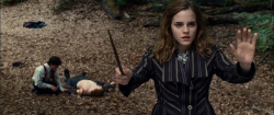 Loading Harry Potter and the Deathly Hallows 1 Pics 3 -    3       1 ...