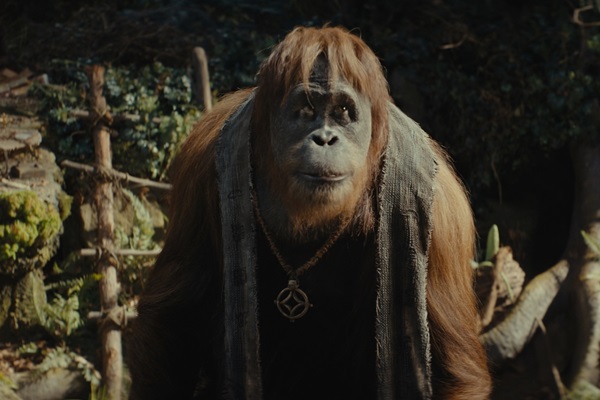 Loading Kingdom of the Planet of the Apes Pics 1 -    1   :   ...