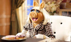 Loading The Muppets Pics 4 -    4   () ...