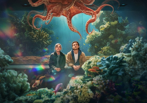 ������ ������ ������: ������ ���