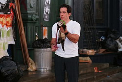 Along Came Polly Pics 4 -  ����� ���� 4 ����� ��� ����� ���� ...