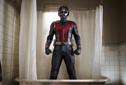 Loading Ant Man Pics 1 -    1   ( ) ...