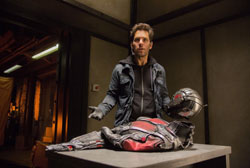 Loading Ant Man Pics 3 -    3   ...