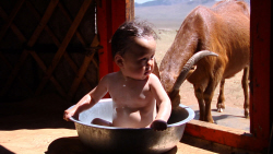 Loading Babies Pics 4 -  ����� ���� 4 ����� ������ ...
