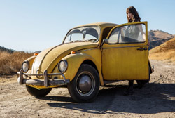 Loading Bumblebee Pics 2 -    2   (  | 4DX) ...