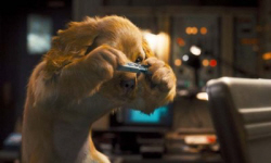Loading Cats and Dogs The Revenge Pics 1 -  ����� ���� 1 ����� ����� ��� ������ 2 ...