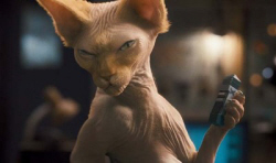 Loading Cats and Dogs The Revenge Pics 2 -  ����� ���� 2 ����� ����� ��� ������ 2 ...