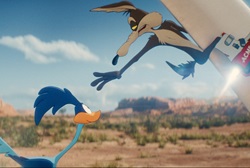 Coyote vs Acme Pics 4 -  ����� ���� 4 ����� ���� ���� ������: ����� ��� ���� ...