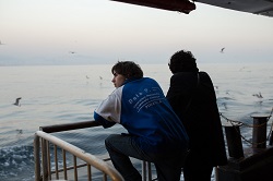 Loading Crossing Pics 4 -    4    ...