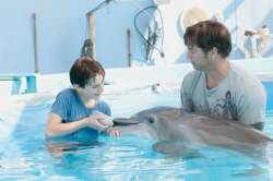Loading Dolphin Tale 3D Pics 2 -  תמונה מספר 2 מהסרט סיפורו של דולפין (מדובב | תלת מימד) ...