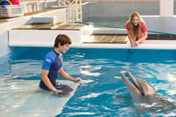 Loading Dolphin Tale 2 Pics 1 -  תמונה מספר 1 מהסרט סיפורו של דולפין 2 (מדובב) ...