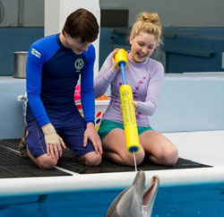 Loading Dolphin Tale 2 Pics 2 -    2     2 () ...