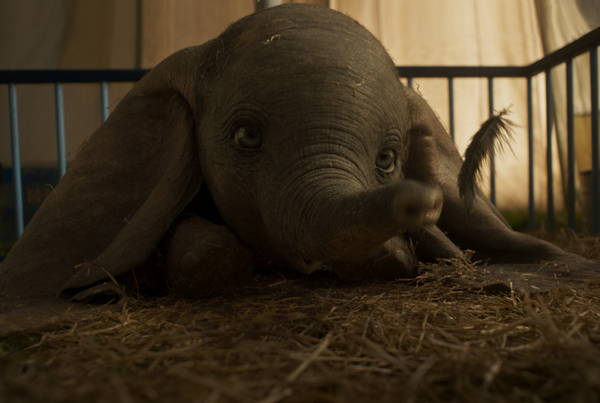 Loading Dumbo Pics 1 -    1   (  | 4DX) ...