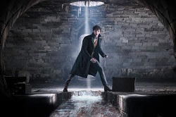 Loading Fantastic Beasts The Crimes of Grindelwald Pics 4 -    4   :    (  | IMAX) ...