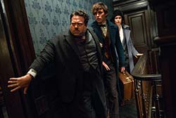 Loading Fantastic Beasts and Where to Find Them Pics 4 -    4       ...