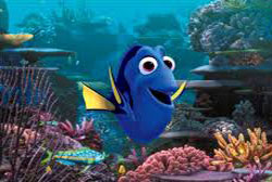 Loading Finding Dory Pics 1 -    1     () ...