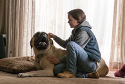 Loading Freeheld Pics 4 -    4    ...