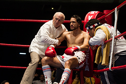 Loading Hands of Stone Pics 1 -    1    ...