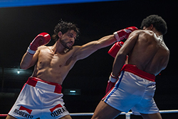 Loading Hands of Stone Pics 5 -    5    ...