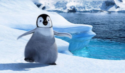 Loading Happy Feet 2 Pics 2 -    2  ' ' 2 () ...