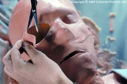 Loading Hollow Man Pics 1 -  ����� ���� 1 ����� ���� ���� (2000) ...