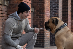 Loading I Play Rocky Pics 2 -  ����� ���� 2 ����� ��� ���� ...