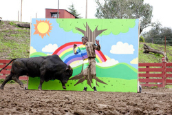 Loading Jackass 3D Pics 3 -  ����� ���� 3 ����� �'��� D3 ...