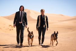 Loading John Wick 3 Pics 2 -    2  '  3 (4DX) ...