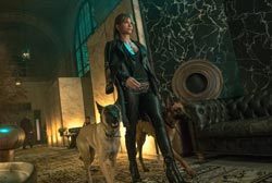 Loading John Wick 3 Pics 4 -    4  '  3 ...