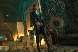 Loading John Wick 3 Pics 4 -    4  '  3 (4DX) ...