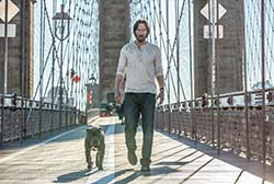 Loading John Wick 2 Pics 4 -    4  '  2 ...