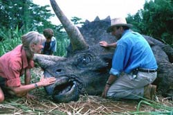 Loading Jurassic Park 3D Pics 5 -  תמונה מספר 5 מהסרט פארק היורה 3D ...