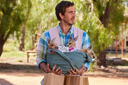 Loading Kangaroo Pics 2 -  ����� ���� 2 ����� ������ ...