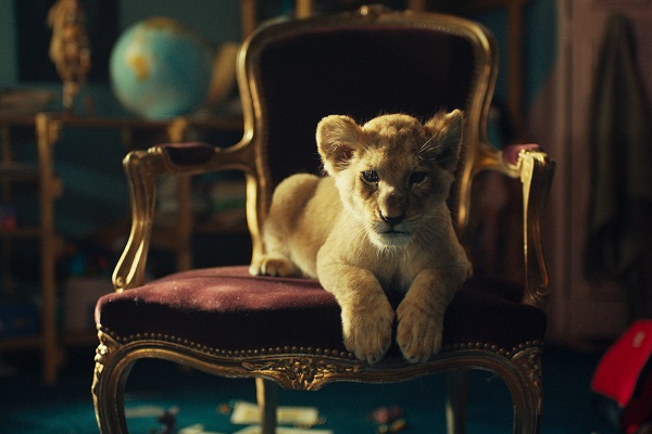 Loading King Pics 1 -    1   () ...