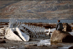 Loading Leviathan Pics 1 -  תמונה מספר 1 מהסרט לוויתן ...