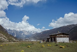 Loading Lunana A Yak in the Classroom Pics 3 -    3  :    ...