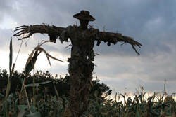 Loading MESSENGERS 2: THE SCARECROW Pics 2 -    2   2 ...