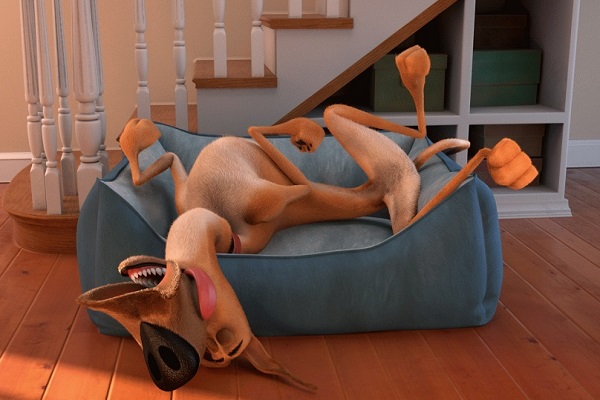 Loading Marmaduke Pics 1 -  ����� ���� 1 ����� ������� ...