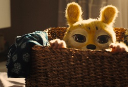 Loading Marsupilami Pics 2 -  ����� ���� 2 ����� ���������� ...