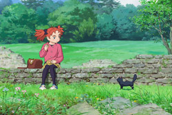 Loading Mary and the Witch Flower Pics 2 -    2    :   () ...