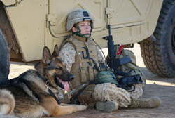 Loading Megan Leavey Pics 3 -    3    ...