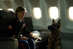 Loading Megan Leavey Pics 4 -    4    ...