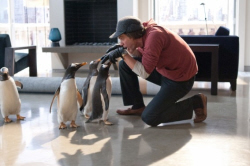 Loading Mr. Popper's Penguins Pics 1 -    1     ...