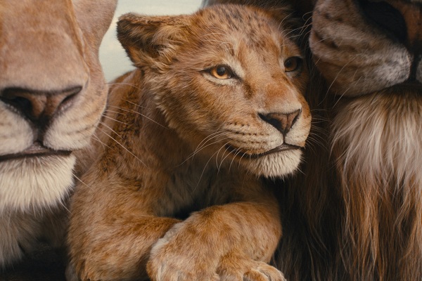 Loading Mufasa The Lion King Pics 1 -    1  :   ...